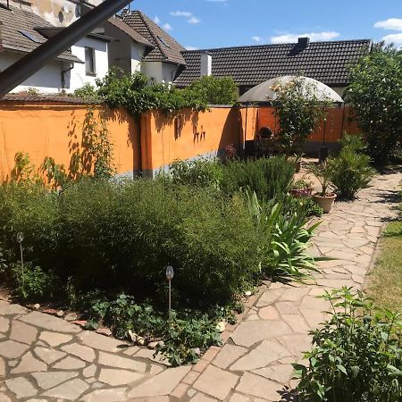 Ferienhaus Rheinperle Mit Garten In Remagen Am Rhein - Naehe Bonn Villa Exteriör bild