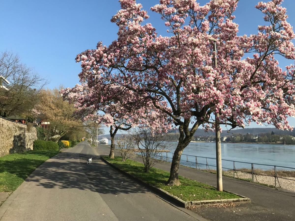 Ferienhaus Rheinperle Mit Garten In Remagen Am Rhein - Naehe Bonn Villa Exteriör bild